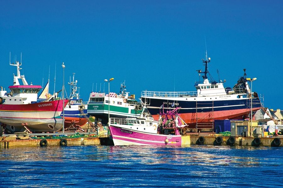 Barques de pêche colorées